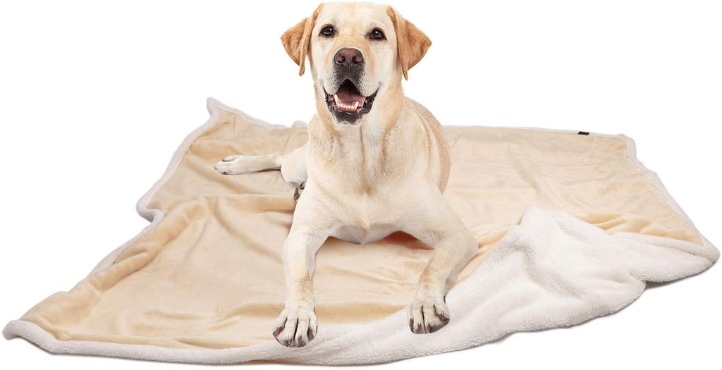 Large Dog Blanket, Super Soft Fluffy Sherpa Fleece Dog Couch Blankets and Throws for Large Medium Small Dogs Puppy Doggy Pet Cats, 50X60 Inches